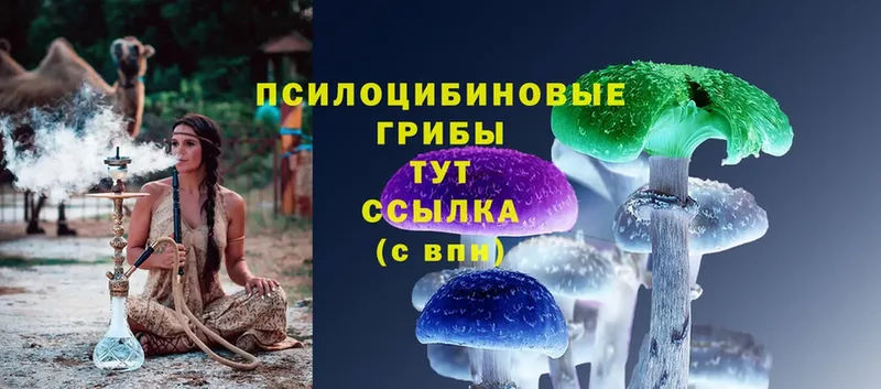 Галлюциногенные грибы Magic Shrooms  Новокузнецк 